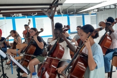 Die-Cellogruppe-von-dem-Orchester-in-Guyana